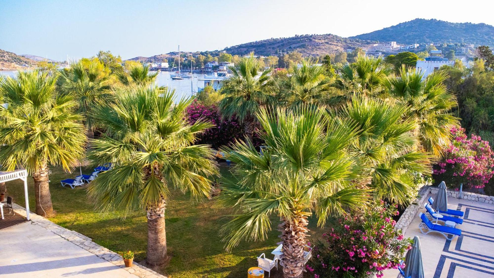 Ladonia Hotels Zemda Guemuesluek Kültér fotó